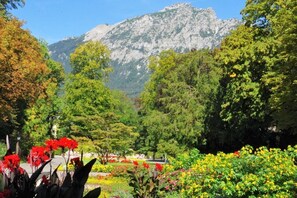 Property grounds - Salzburg Comfortable holiday residence (Bad Reichenhall)
