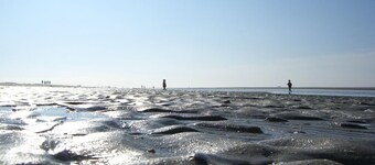 Klabautermann Maywald