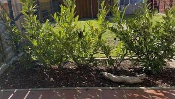 Terrain de l’hébergement