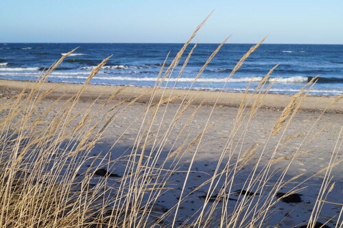 2 Am Stadtwald Komfortable Ferienresidenz
