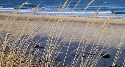 2 Am Stadtwald Komfortable Ferienresidenz