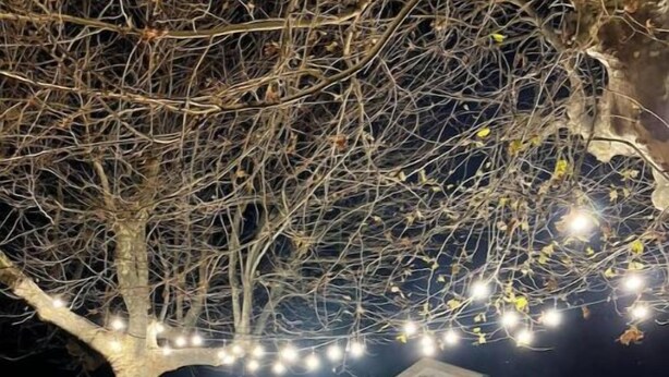 Un arbre aux branches nues, illuminé de guirlandes lumineuses, une petite construction en bois et un foyer.