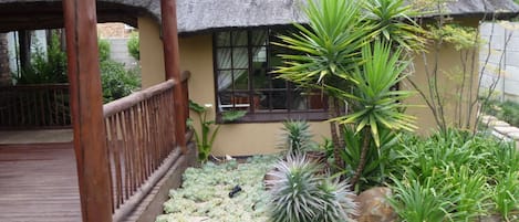 Zimmer, 1 Schlafzimmer, barrierefrei, Terrasse | Garten