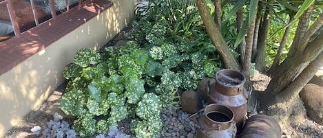 Room, 1 Bedroom, Accessible, Patio | Garden