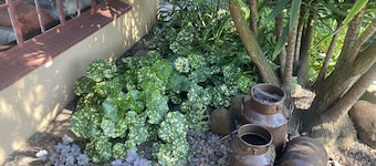 ゲストルームの部屋 - ベルケゲストルーム・エルメロ