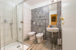 Shower, hair dryer, bidet, towels