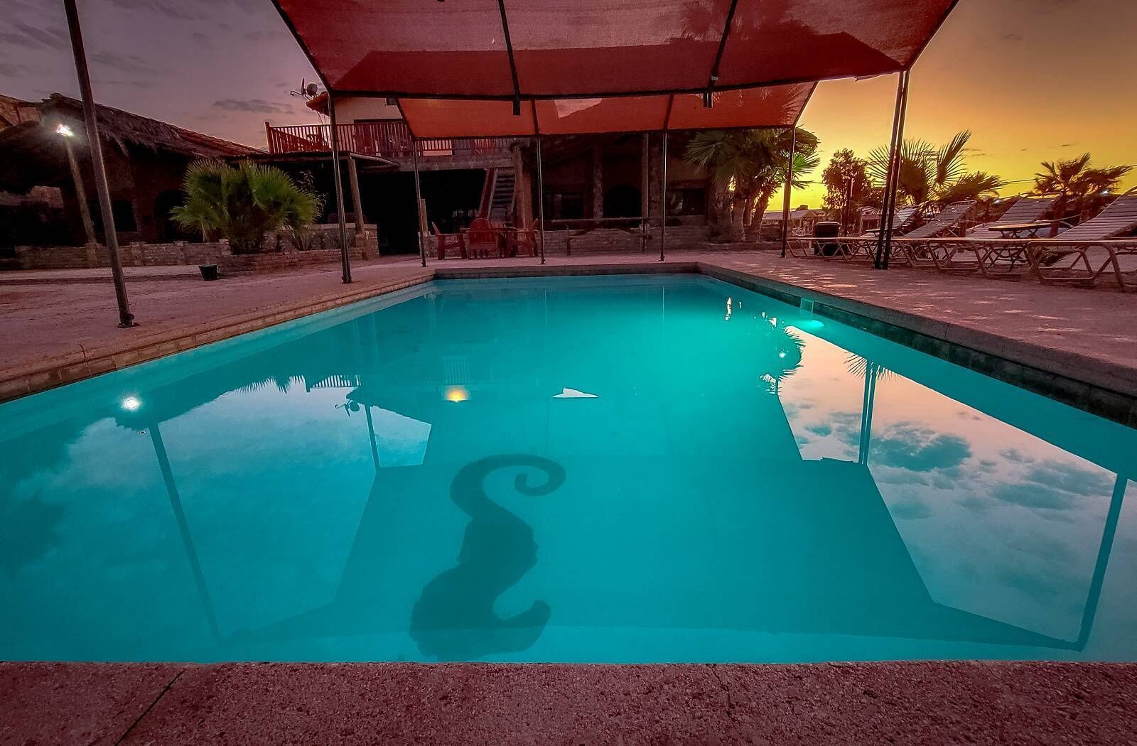 Piscine