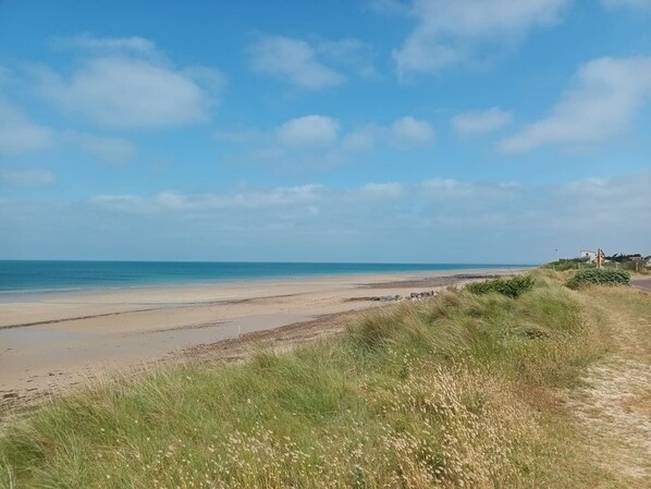 A beach with a clear sky, a sandy shore, and grassy dunes.