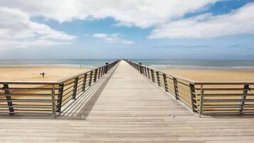 Plage, chaises longues