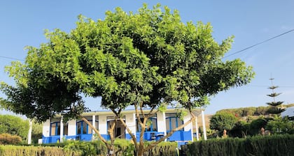 Kali Camp