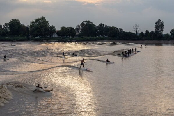 Guests can enjoy kayaking and riverbank activities amidst a serene river and natural surroundings.