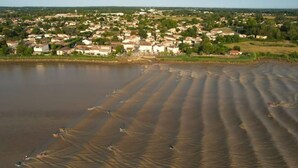 A coastal town with a riverfront and sandy beach. - Coin de Paradis en Bord de Dordogne 2 (La Riviere)