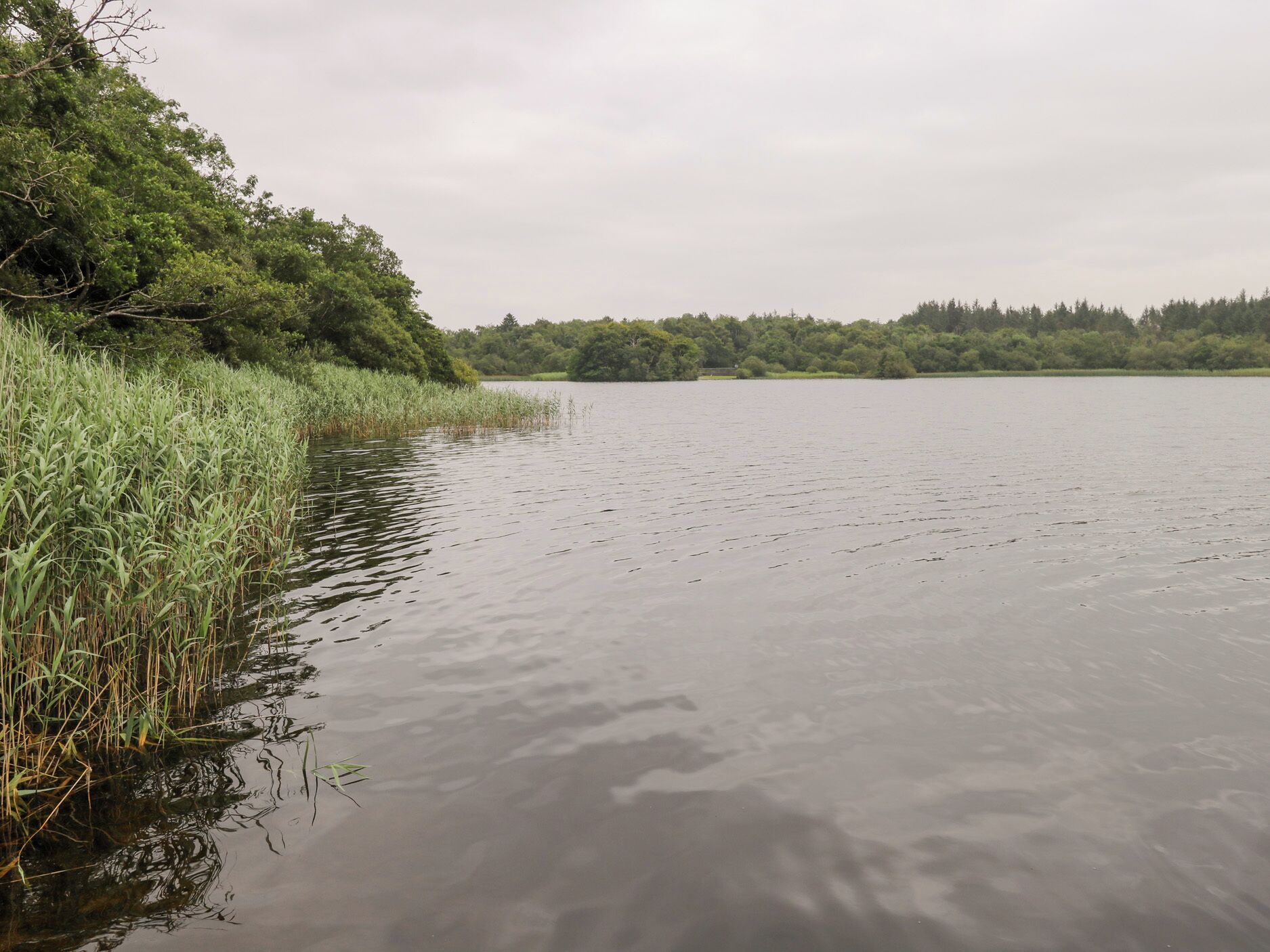 Un lac paisible, bordé d’une végétation luxuriante sur la gauche, et une zone boisée visible au loin.