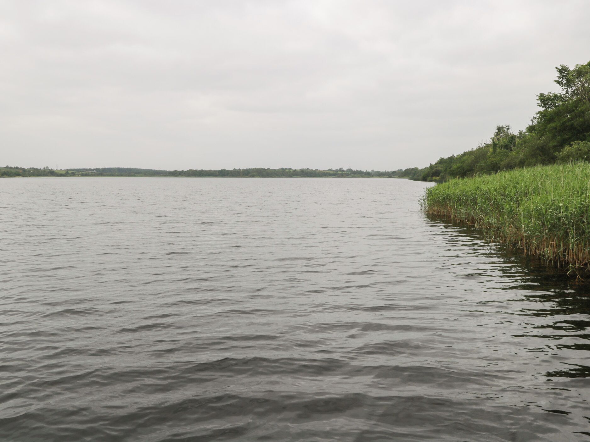 Un llac tranquil amb una riba verda i una franja d'arbres a la distància.