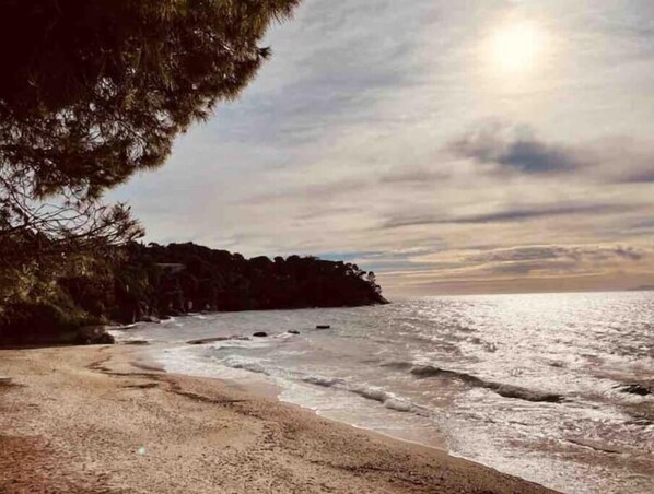 Beach - Bougainvillier A (Rayol-Canadel-sur-Mer)