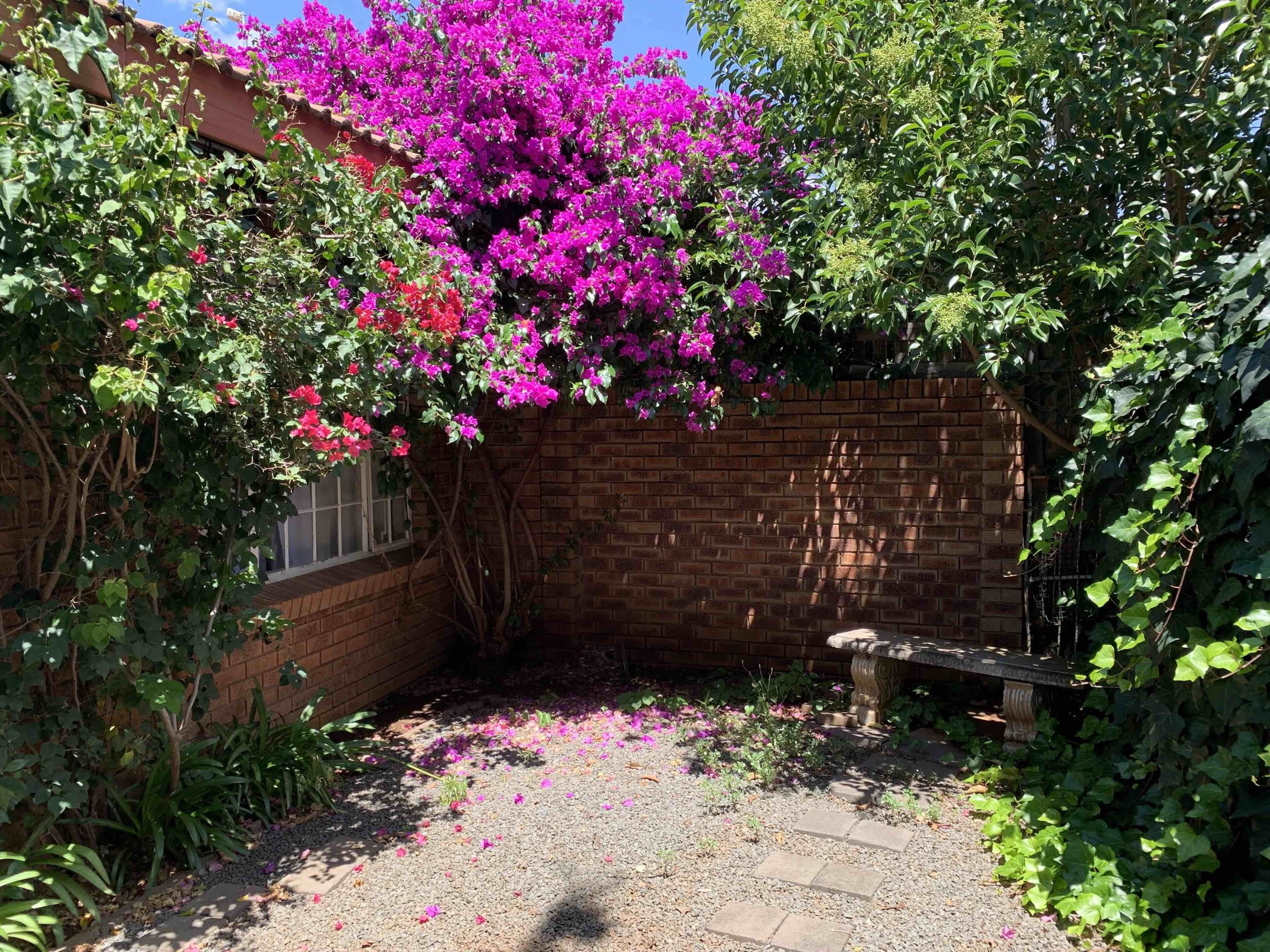 House, 2 Bedrooms, Patio | Garden