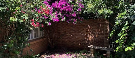 House, 2 Bedrooms, Patio | Garden