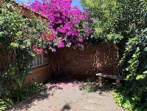 House, 2 Bedrooms, Patio | Taman