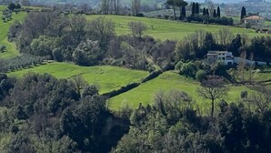 A rural landscape with rolling green fields, scattered trees, and a distant mountain range.