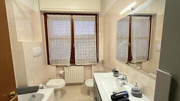 Assecador de cabells, bidet, tovalloles i sabó