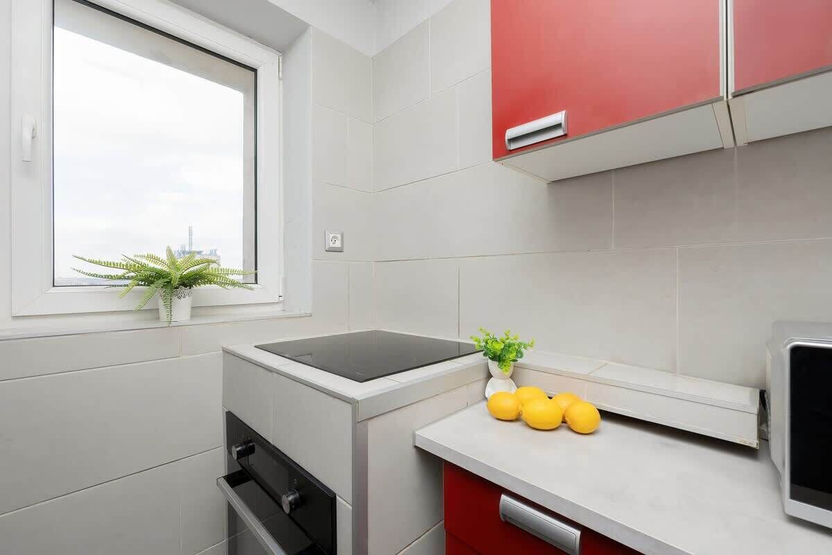 A compact kitchen with white and red cabinets, a black induction cooktop, and a window with a plant.