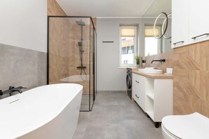 Shower, hair dryer