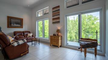 Télévision, cheminée, livres, espaces bureaux