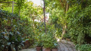 A lush garden with various potted plants and a stone pathway. - il Nespolo (Bologna)