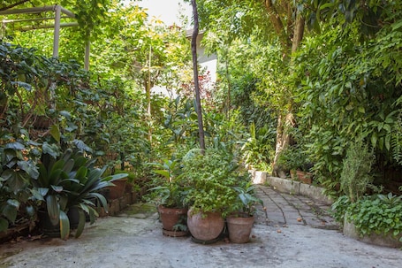 Jardín