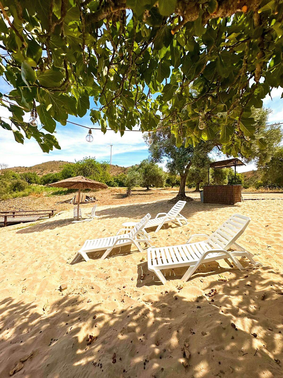 Terrein van de accommodatie