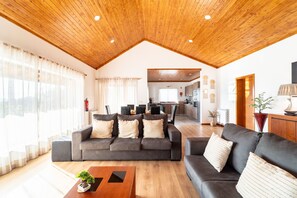 TV, fireplace - Assento do Cávado (Terras de Bouro)