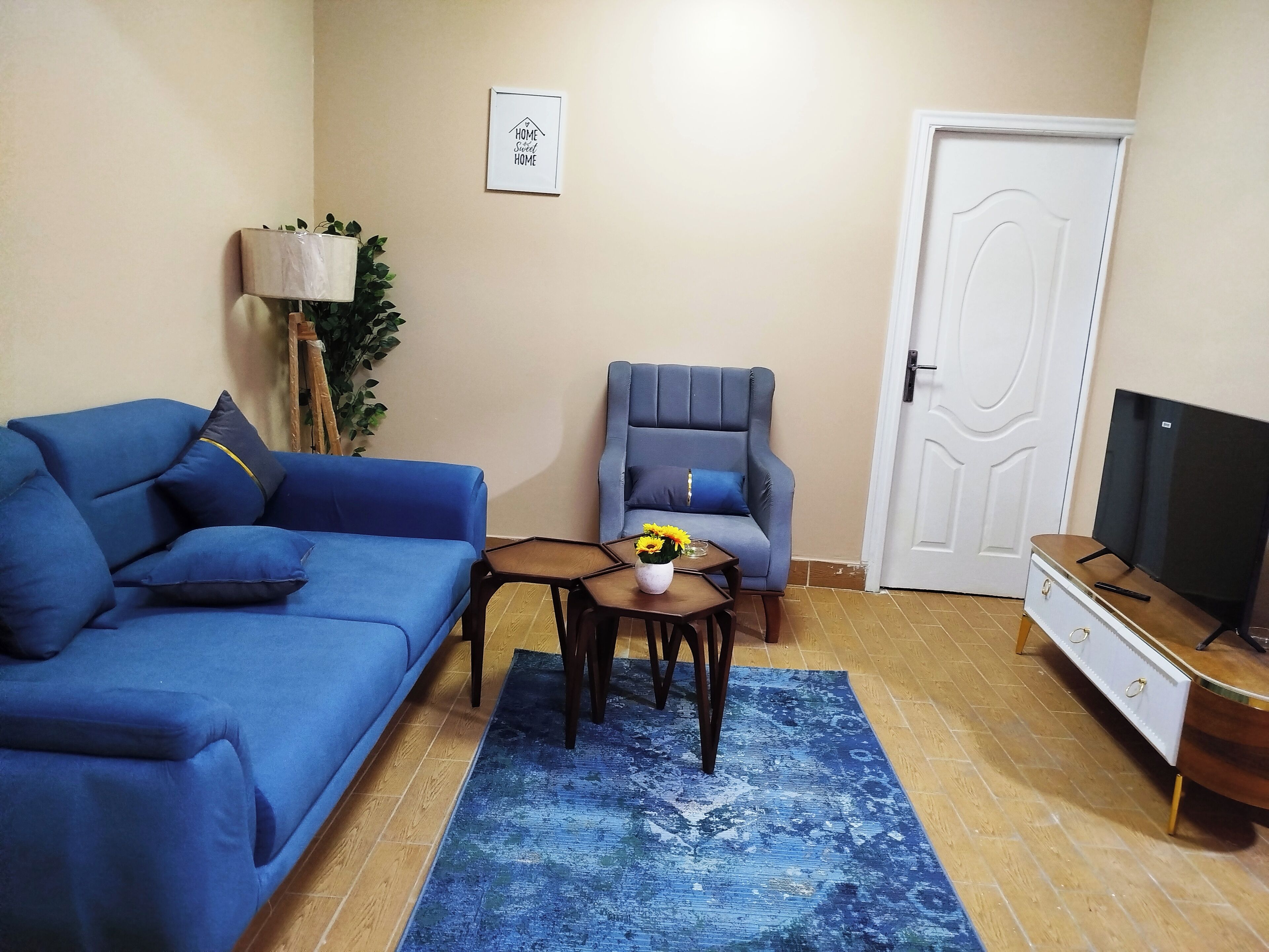 A living room with a blue sofa, a blue armchair, a small coffee table with a vase of flowers, a TV on a wooden cabinet, and a door with a decorative panel.