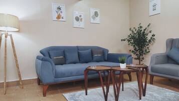 43-inch Smart TV with satellite channels, Netflix, DVD player