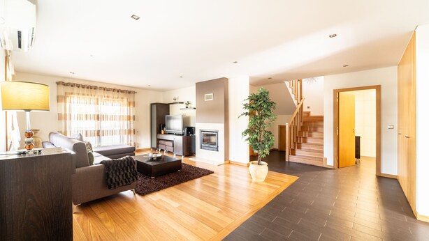 A modern living room with a sofa, coffee table, and a large potted plant.