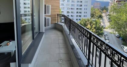 Movie flats