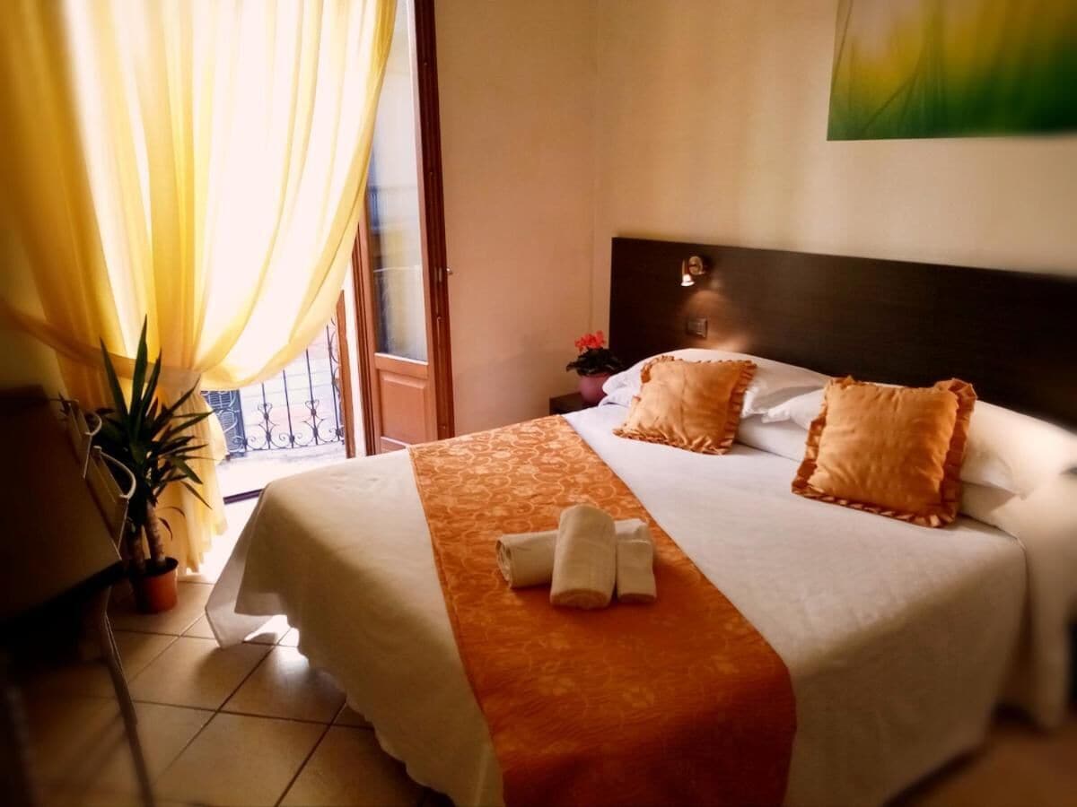 Habitación de hotel con una cama, una planta en maceta y vistas al exterior.