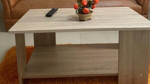 Un salón con un sofá, dos cojines naranjas, una mesita con una planta en maceta y un control remoto.