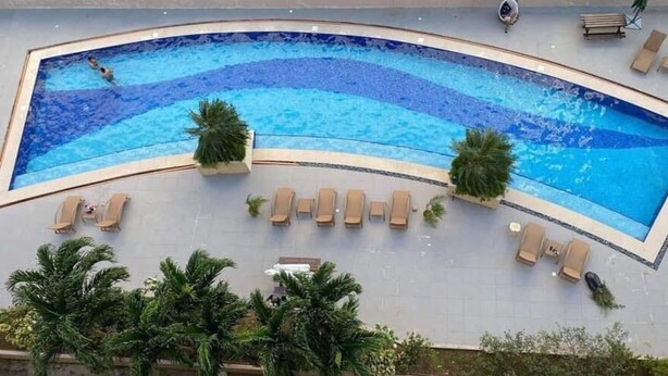 Una piscina curvada con sillas de descanso y palmeras.