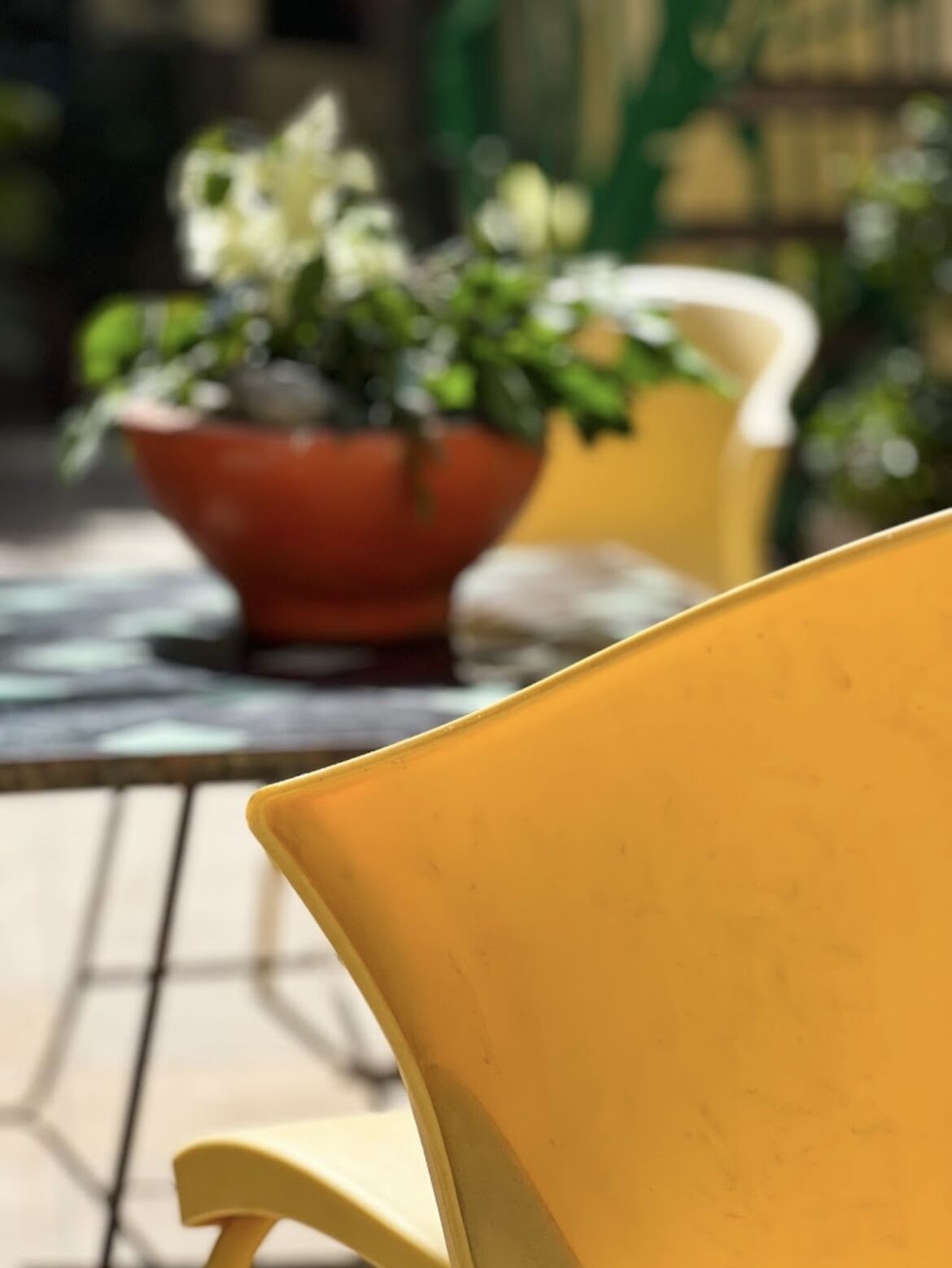 Foto - Hôtel Provençal