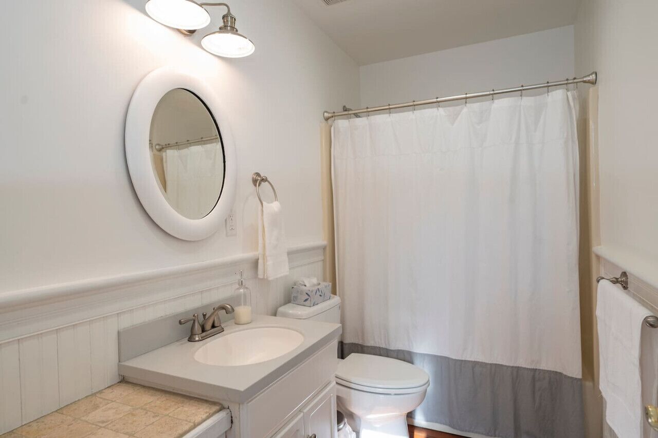 A bathroom with a white sink, a toilet, a mirror, and a shower curtain.