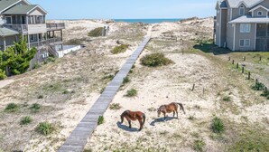 A coastal property with a wooden boardwalk leading to a beach, featuring two horses grazing. - Cavallo Dunes - 4x4 Carova Beach, Oceanfront, Ocean View, Hot Tub, Pets OK, Year Round Flex Stays (4x4 - Carova Beach)