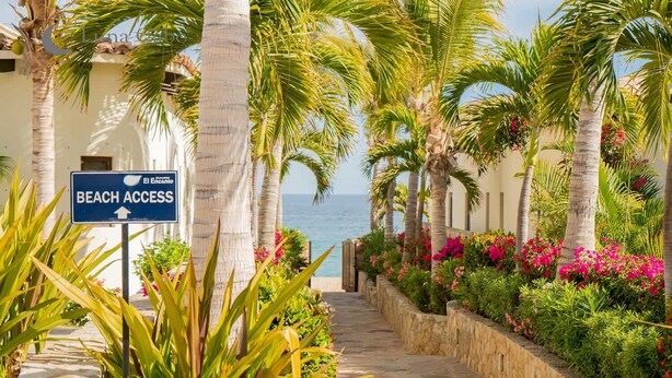 Un sentier bordé de palmiers et de fleurs qui mène à une plage, avec un panneau indiquant « Accès à la plage ».