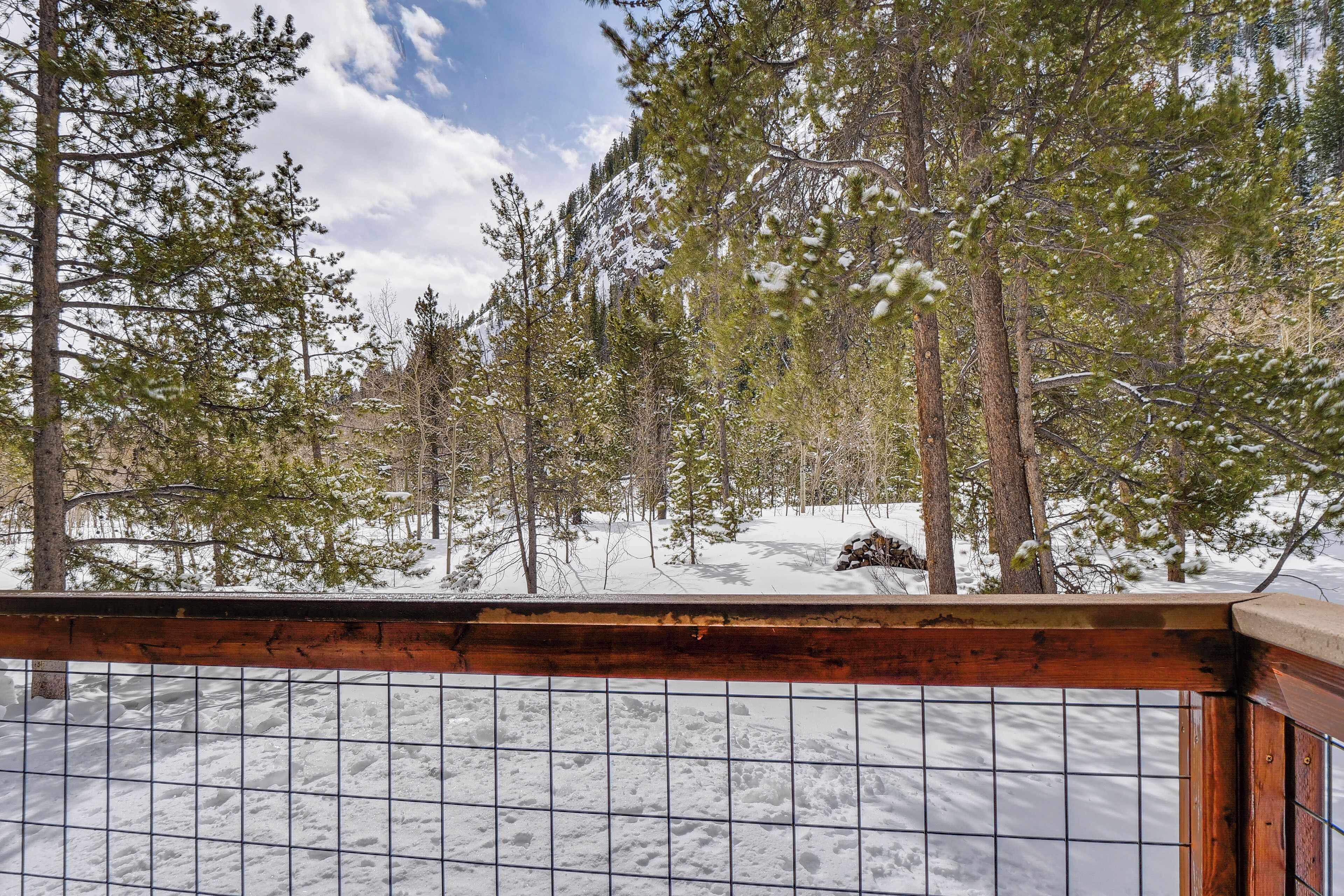 A wooden deck with a metal railing overlooking a snowy forest.