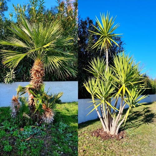 House-4 rooms-Family-Peacefull-Sunny-Swimming Pool