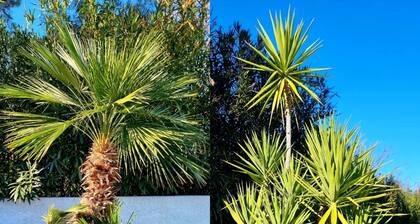 House-4 rooms-Family-Peacefull-Sunny-Swimming Pool