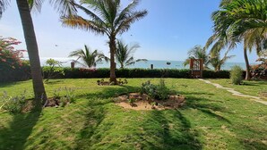 A well-maintained garden with palm trees, a pathway, and a view of the ocean.