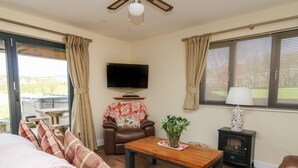A living room with a sofa, a coffee table, a TV, a fireplace, and a window with curtains. - Caban Dulas (Rhayader)