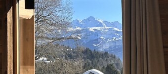 Chalet Familial vue Mont Blanc à 100m des Pistes de ski