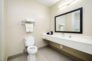 Une salle de bain équipée de toilettes, d’un lavabo, d’un miroir, d’un porte-serviettes et de papier toilette.
