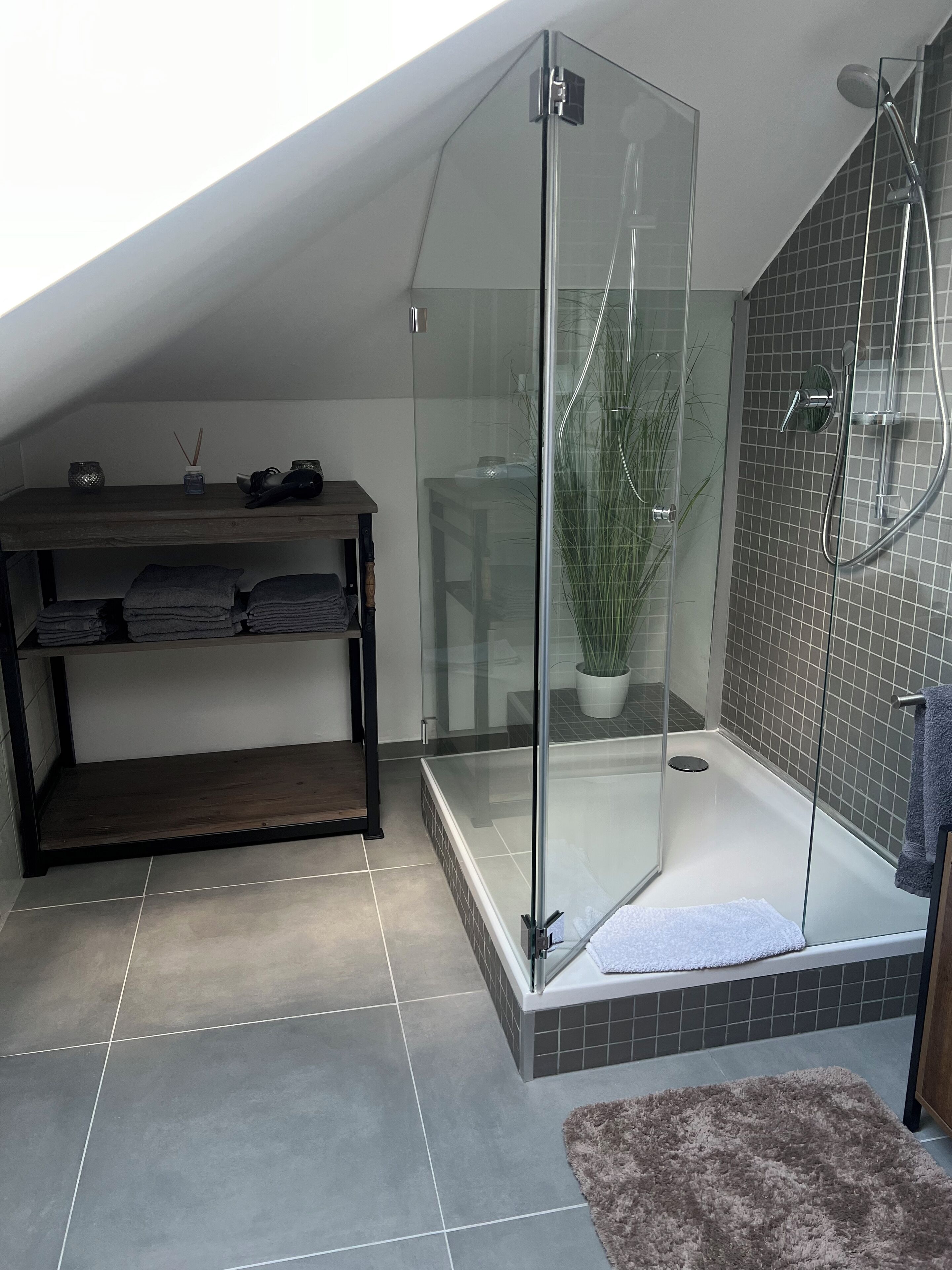 Een douche, een haardroger, een bidet, handdoeken